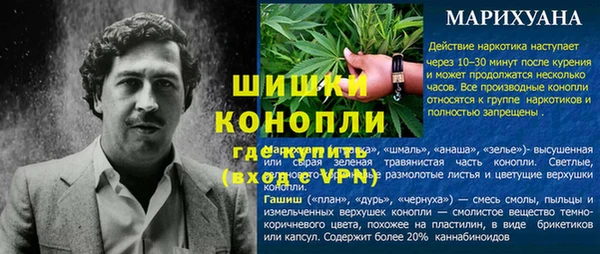 молекула духа Алзамай