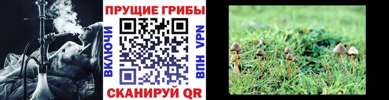 цены наркотик  Искитим  МЕГА вход  Галлюциногенные грибы мухоморы 