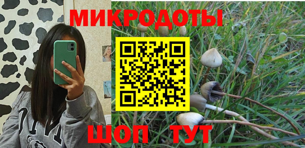 Галлюциногенные грибы Psilocybine cubensis Искитим
